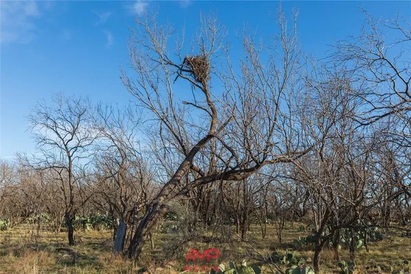 a view of wooden floor and a bench in backyard