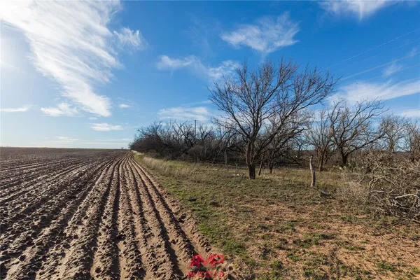a view of a yard with wooden fence