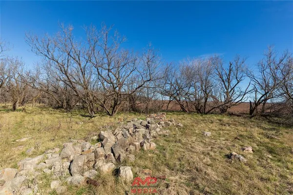 a view of yard with green space