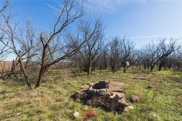 a view of a yard with large trees