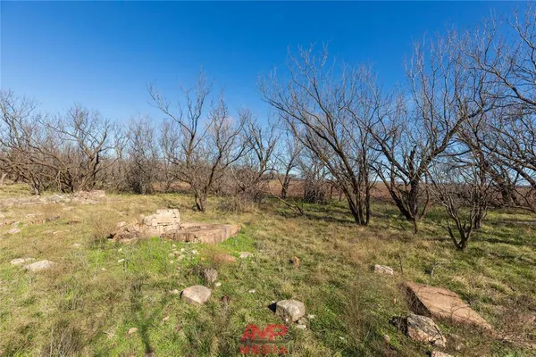 a view of backyard of a house