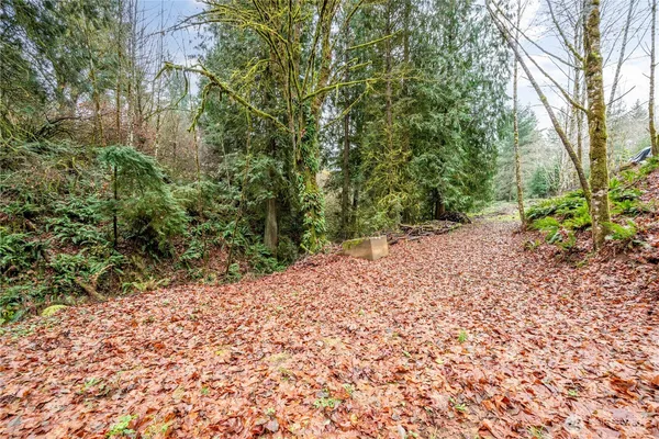 a backyard of a house with lots of green space
