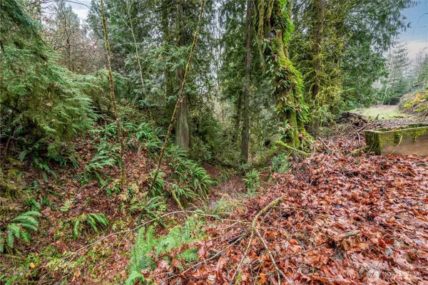 a view of a backyard with a trees