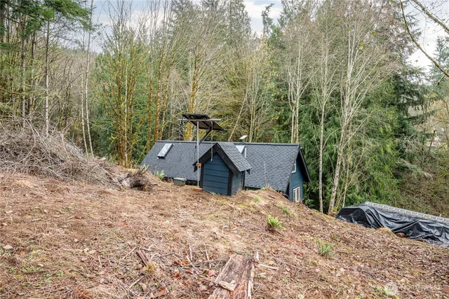 a view of a road with trees in the background