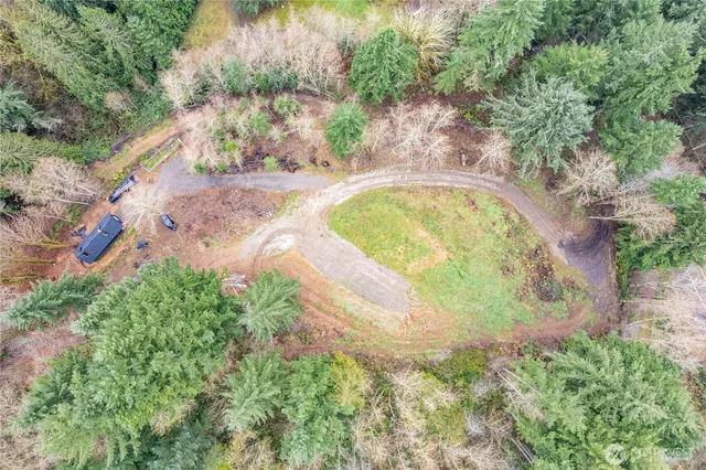 a view of a yard with a tree