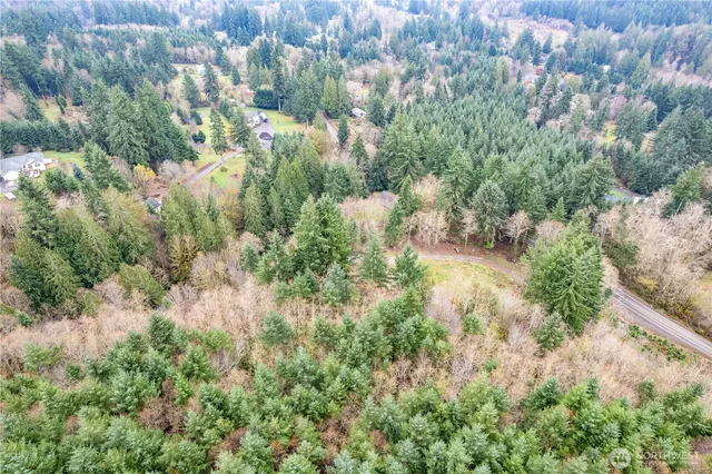 a view of a garden with plants and large trees