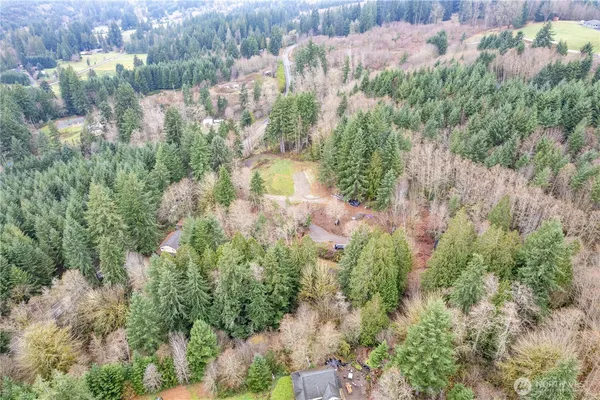 a view of a yard with plants and a bench