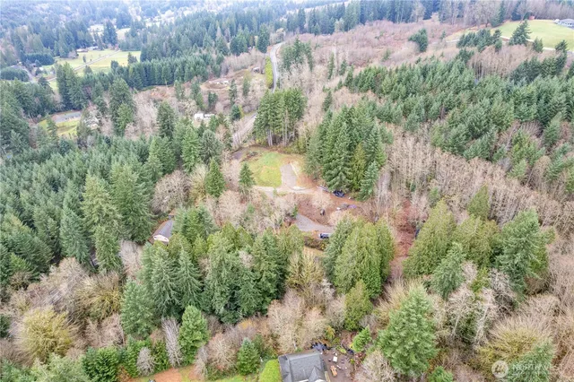 a view of a yard with plants and a bench