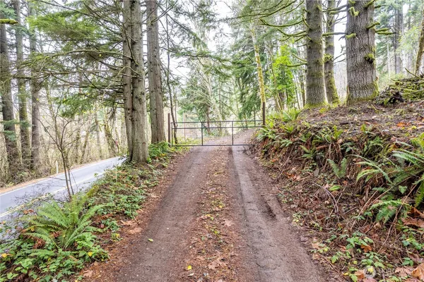 a view of a pathway with a tree