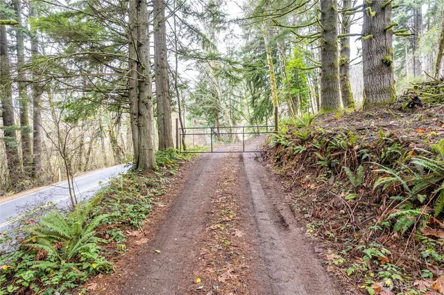 a view of a pathway with a tree
