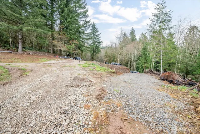 a view of a yard with large trees