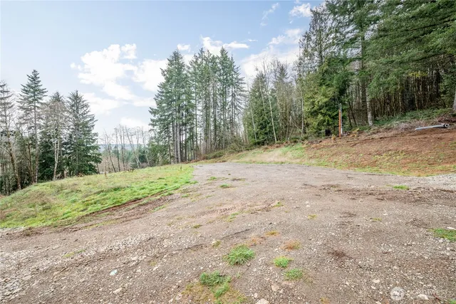 a view of a yard with trees