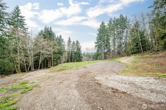a view of a yard with large trees