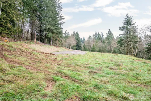 a view of a yard with trees