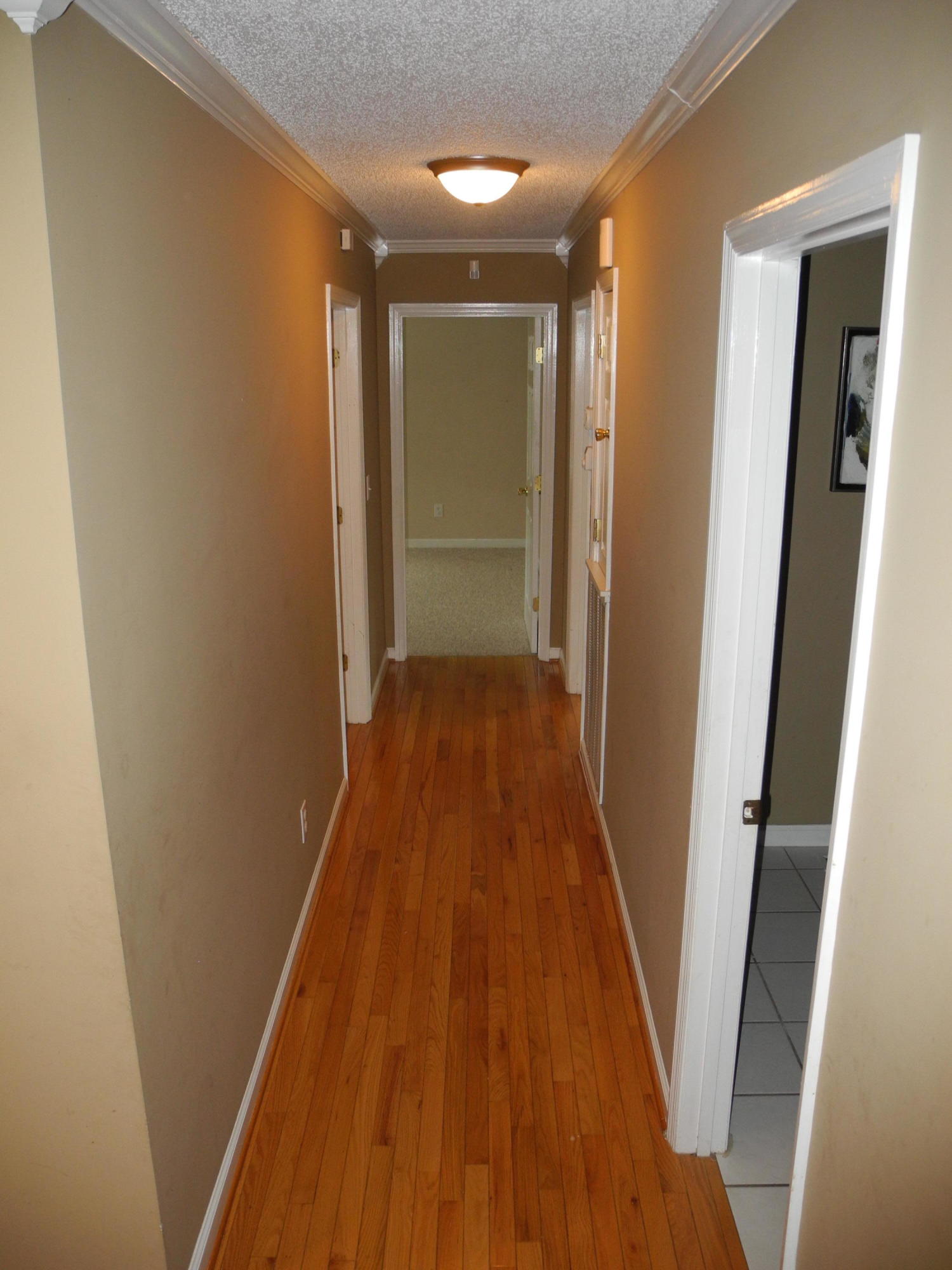 1170 Tiftonia View Road Chattanooga, TN 37419 - Photo 23 of 37 DSCN4300