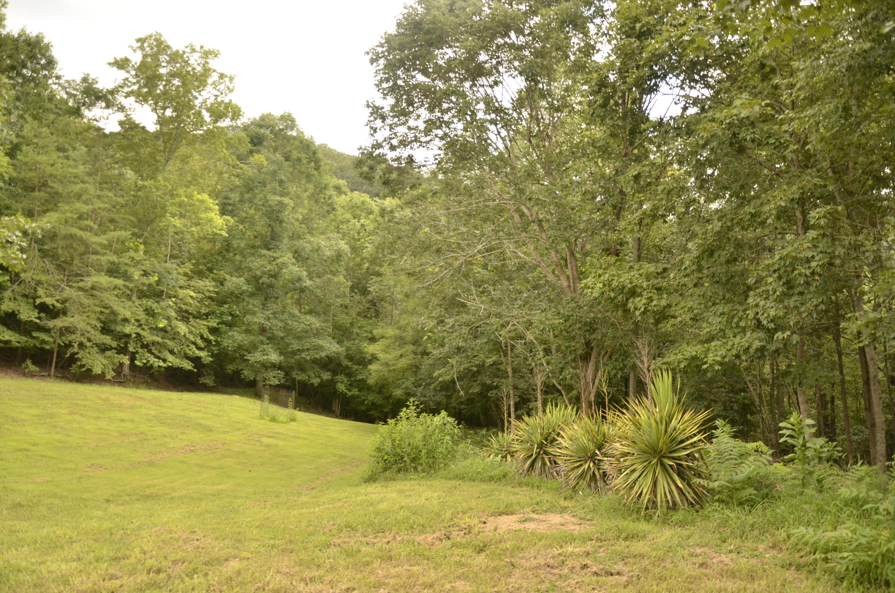 1170 Tiftonia View Road Chattanooga, TN 37419 - Photo 34 of 37 _DSC9129