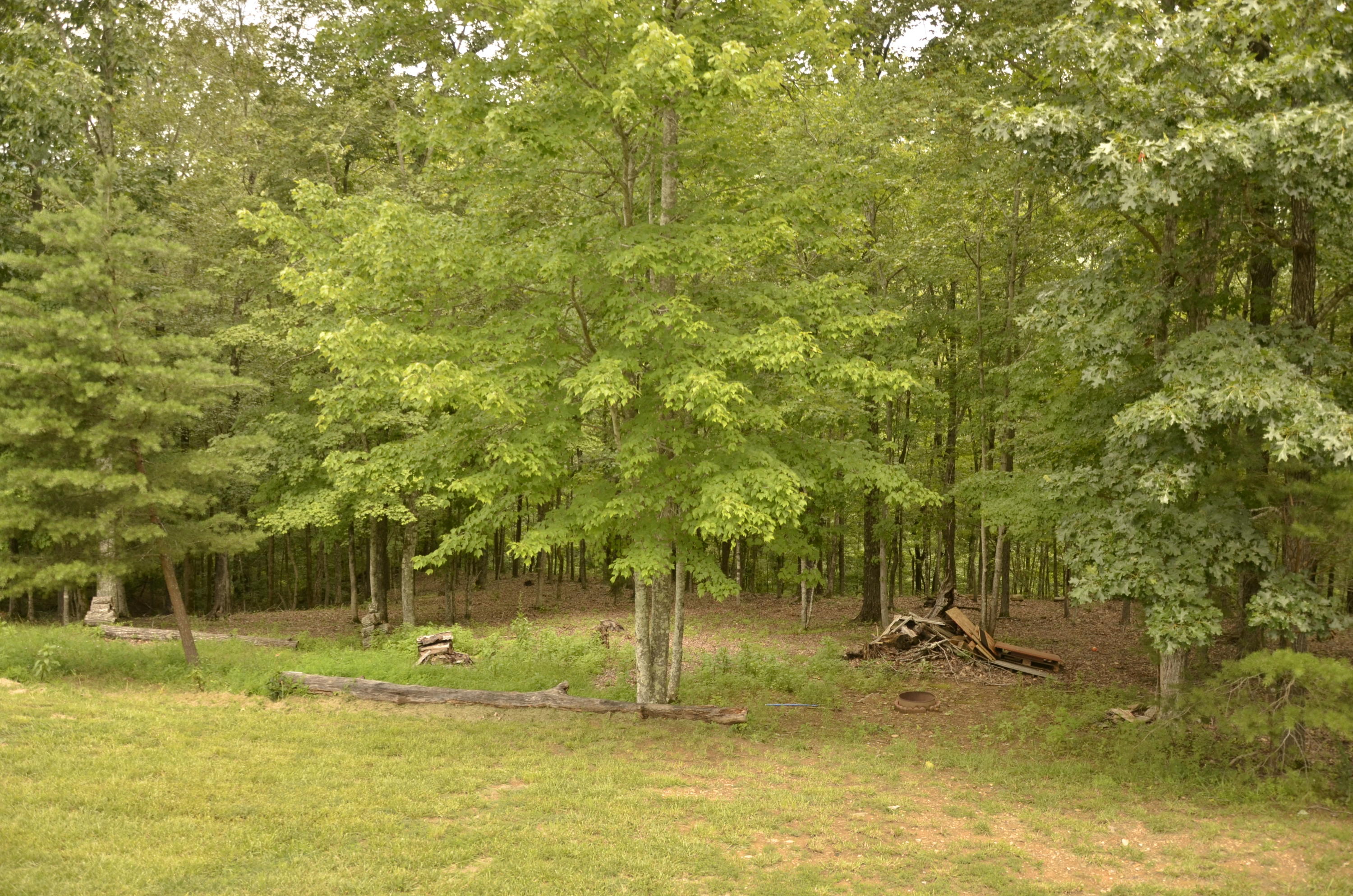 1170 Tiftonia View Road Chattanooga, TN 37419 - Photo 36 of 37 _DSC9115