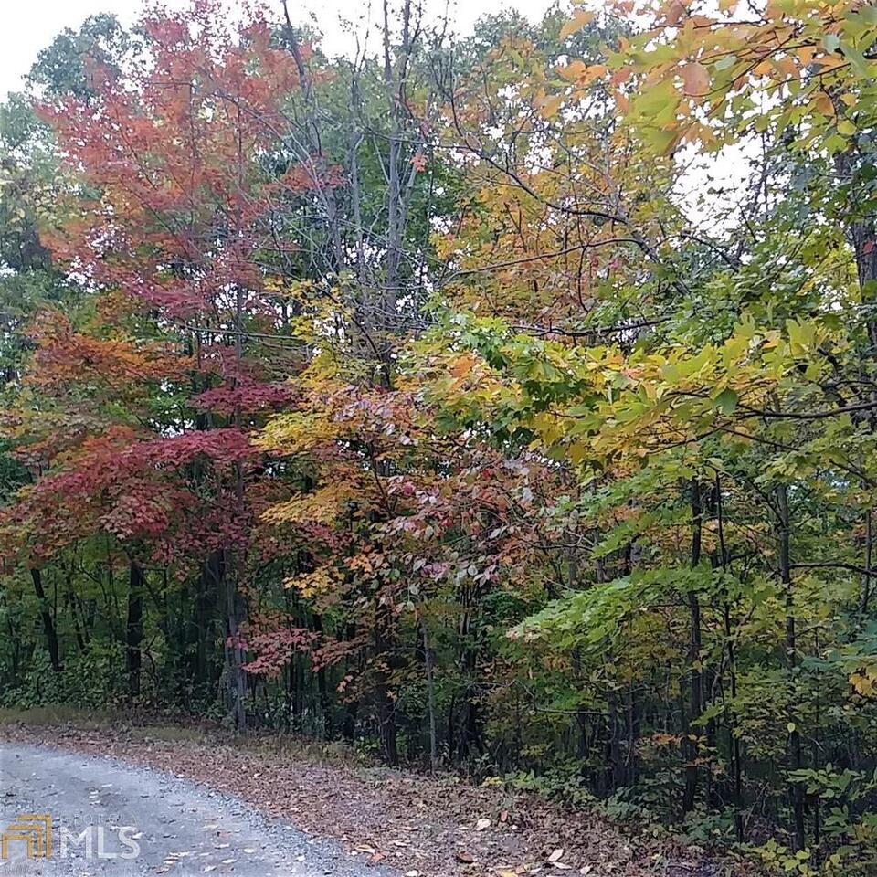 Lot 4 Raintree Bend Epworth, GA 30541 - Photo 1 of 1 Gallery Image 1