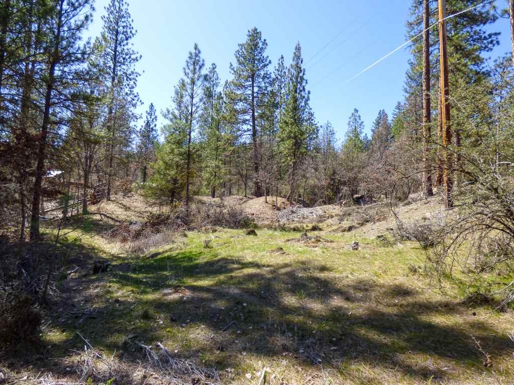 0 Culp Way Fort Jones, CA 96032 - Photo 6 of 8 Gallery Image 6