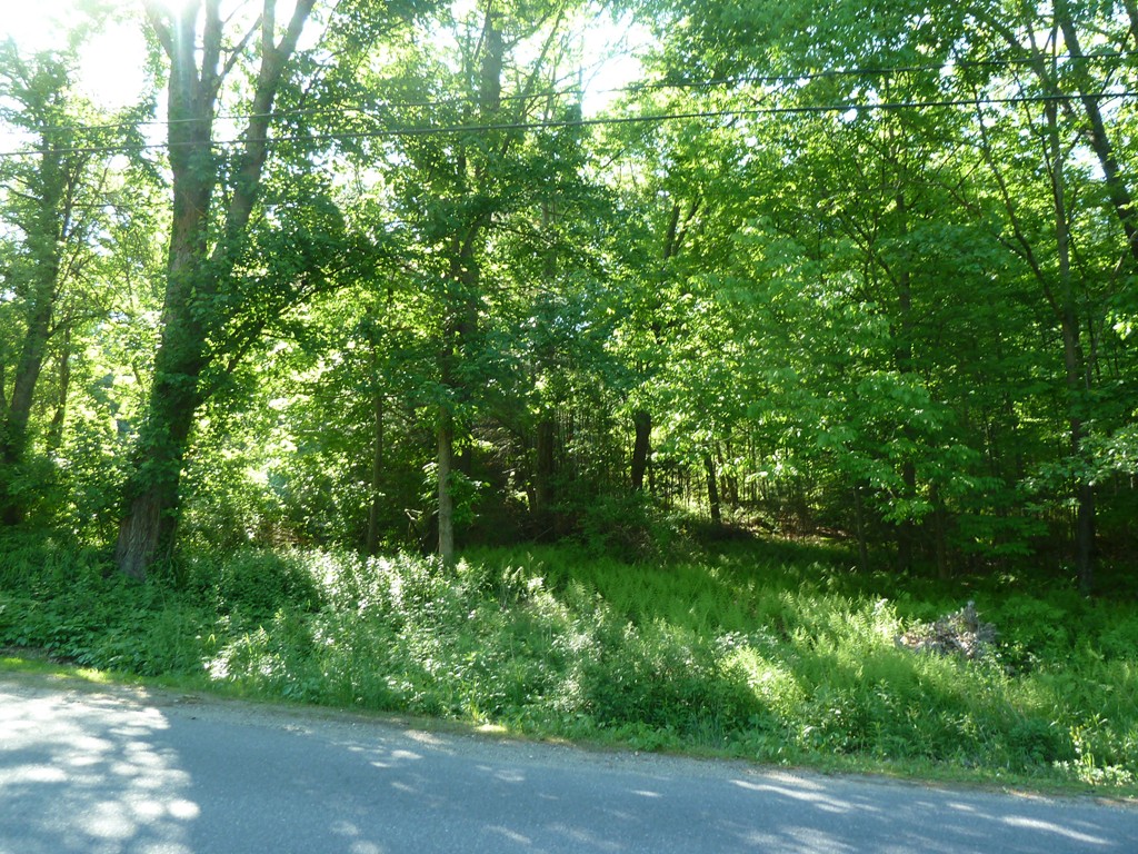 Lot 1 West Gill Road Gill, MA 01354 - Photo 11 of 31 Gallery Image 11