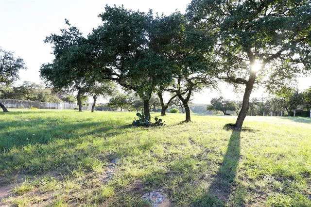 a view of yard with trees