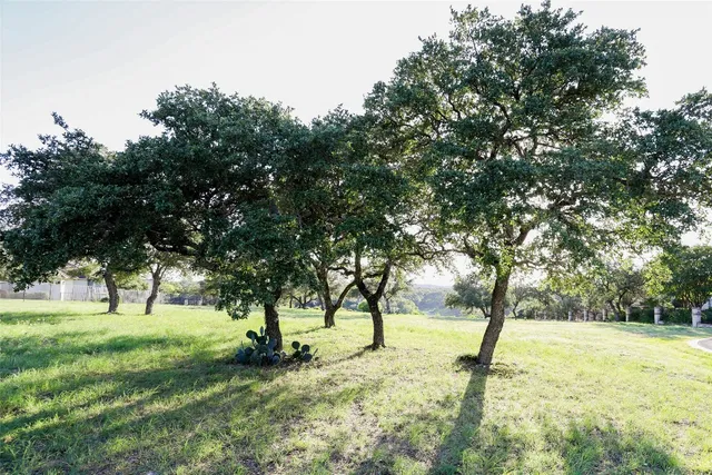 a view of yard with trees
