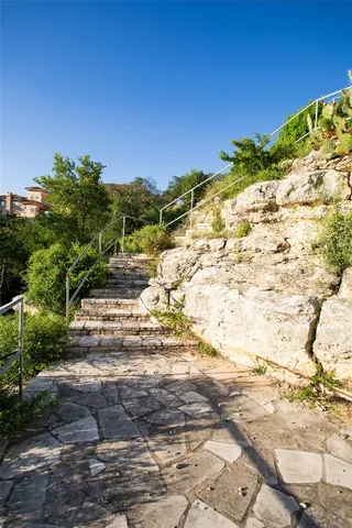 a view of a yard with a tree