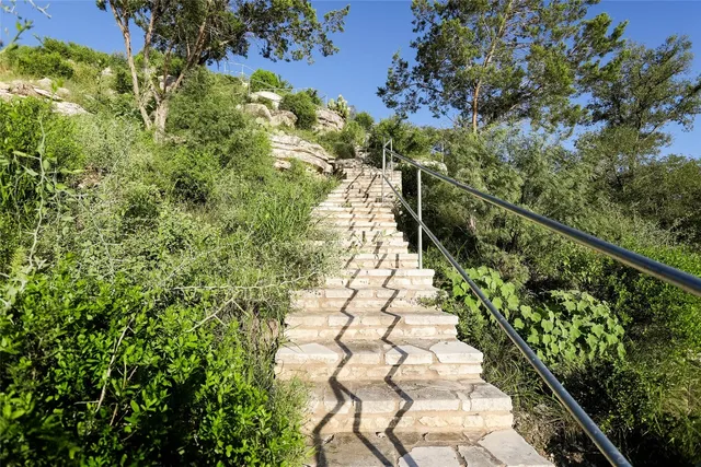 a view of a yard with plants