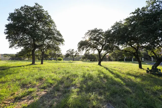 a view of field with trees