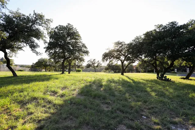a view of yard with trees