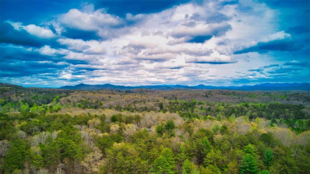 276 My Mountain Road Morganton, GA 30560 - Photo 50 of 73
