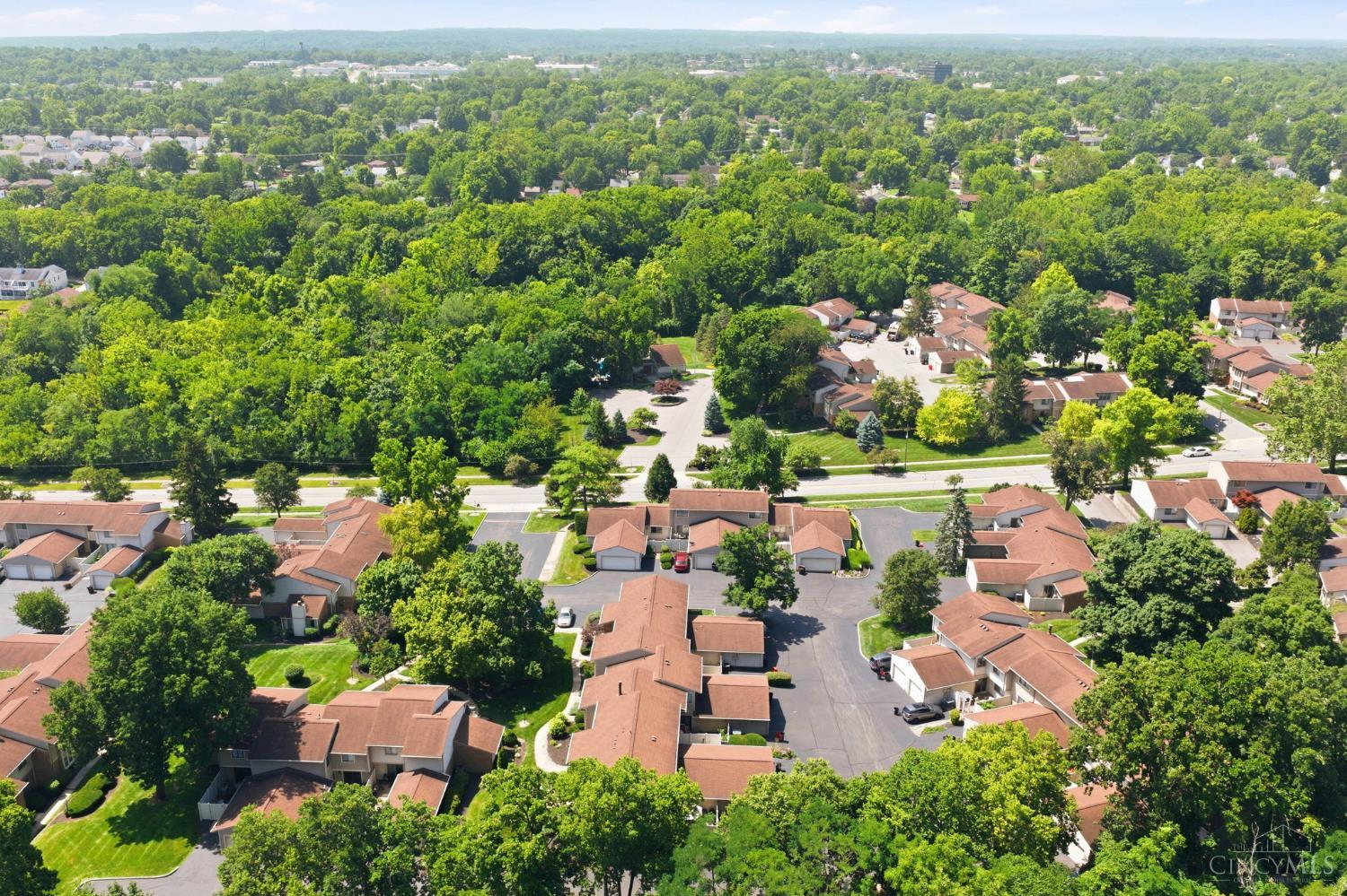2 Boxwood Court Springdale, OH 45246 - Photo 47 of 53