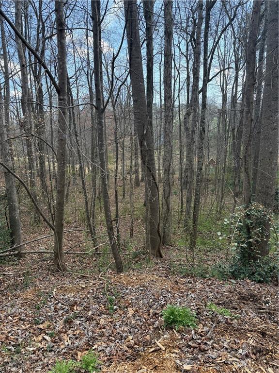 0 Willow Gate Trace Auburn, GA 30011 - Photo 4 of 6