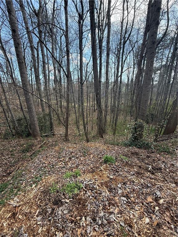 0 Willow Gate Trace Auburn, GA 30011 - Photo 5 of 6