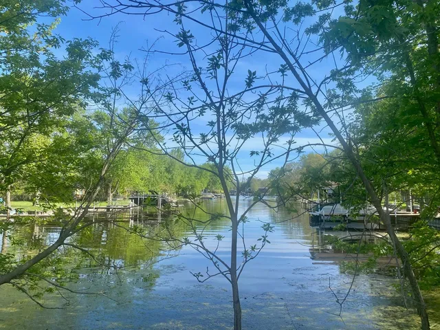 a backyard of a house with lots of green space