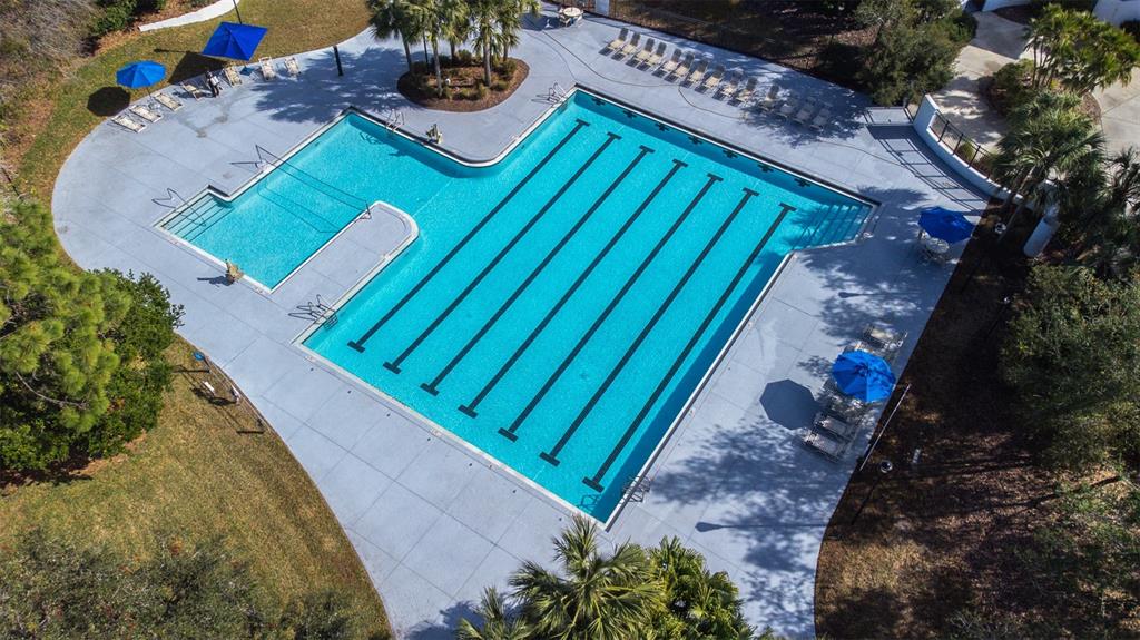 17012 Falconridge Road Lithia, FL 33547 - Photo 96 of 100 Gallery Image 96