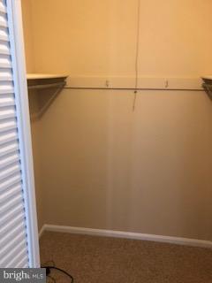 11228 Chestnut Grove Square, Unit 229 Reston, VA 20190 - Photo 9 of 15 closet