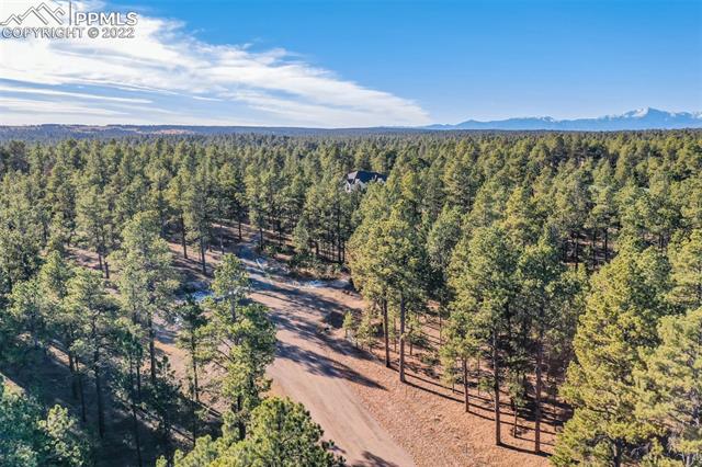 17501 Abert Ridge View Colorado Springs, CO 80908 - Photo 17 of 45 Gallery Image 17