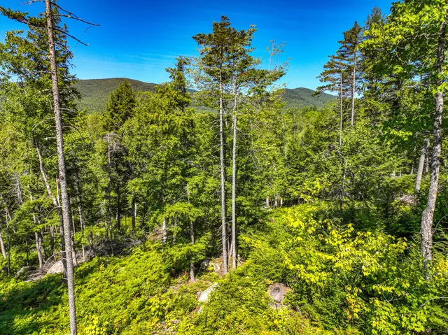 $89,900 | Lot 39 Sawyer Notch Road, Andover, ME 04216