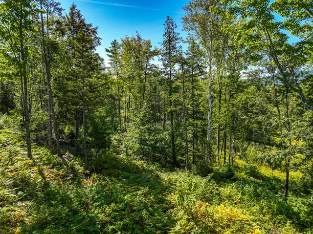 $89,900 | Lot 39 Sawyer Notch Road, Andover, ME 04216