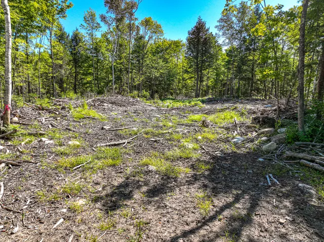 $89,900 | Lot 39 Sawyer Notch Road, Andover, ME 04216