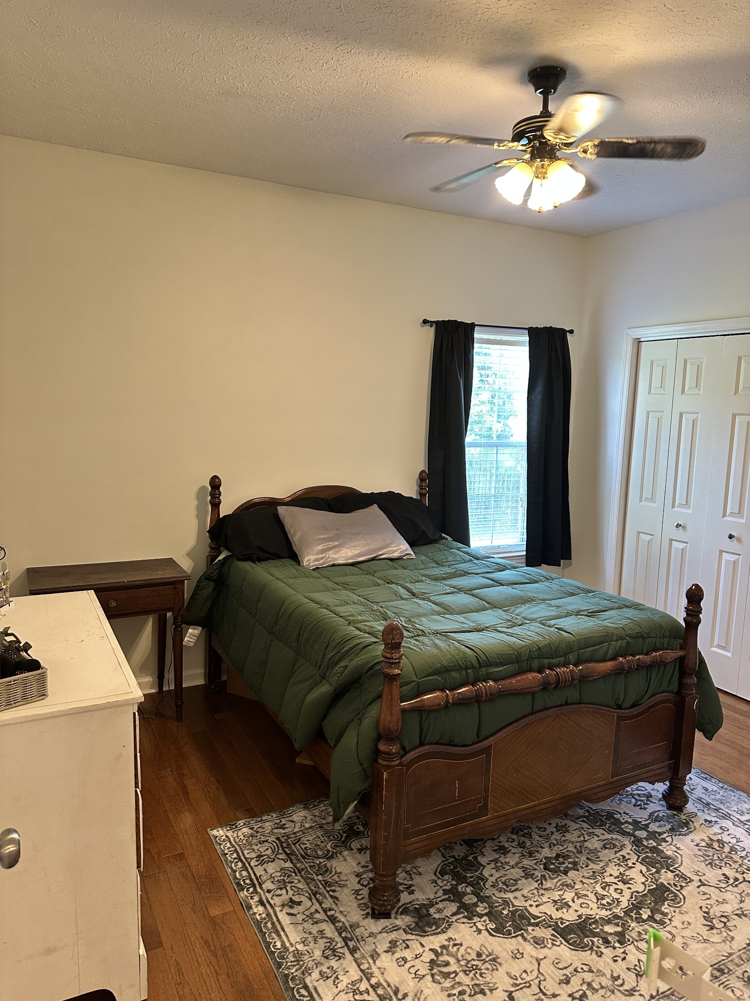 131 East Robertson Road Castalian Springs, TN 37031 - Photo 37 of 72 Gallery Image 37