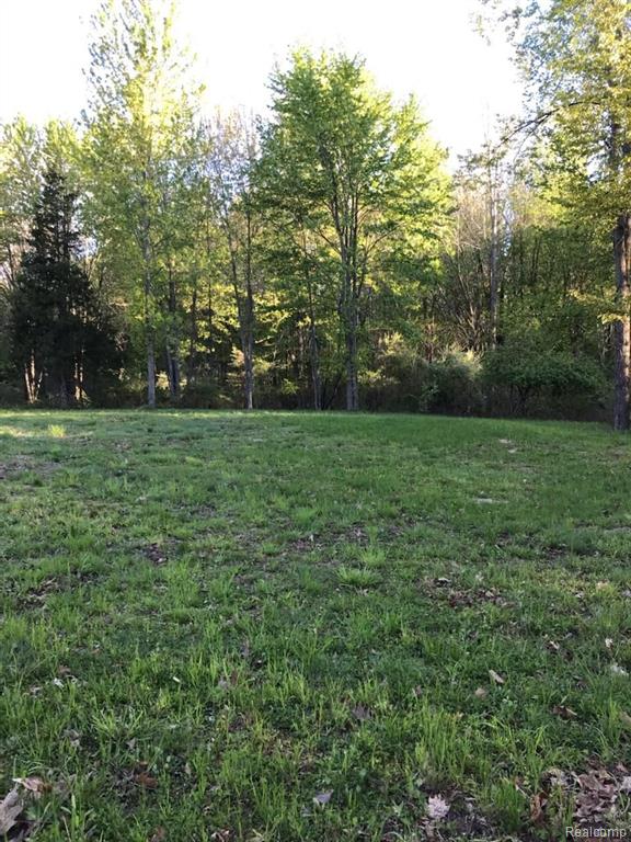 Vl Stow Road Fowlerville, MI 48836 - Photo 3 of 7