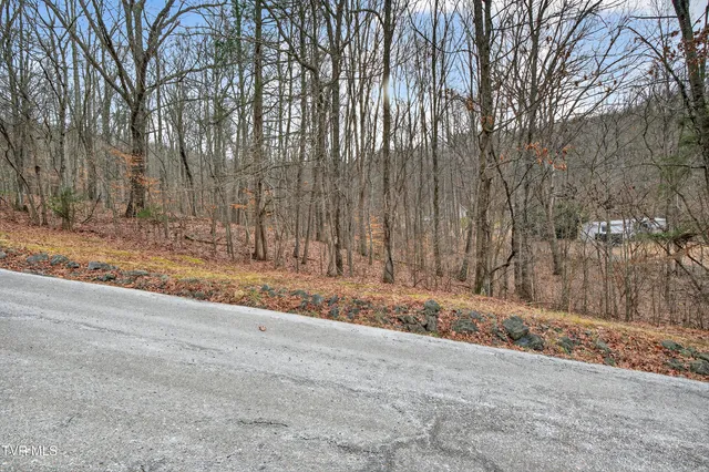 $32,500 | 3.6 Acres Bristol Va 24202, Unit 73, Bristol, VA 24202