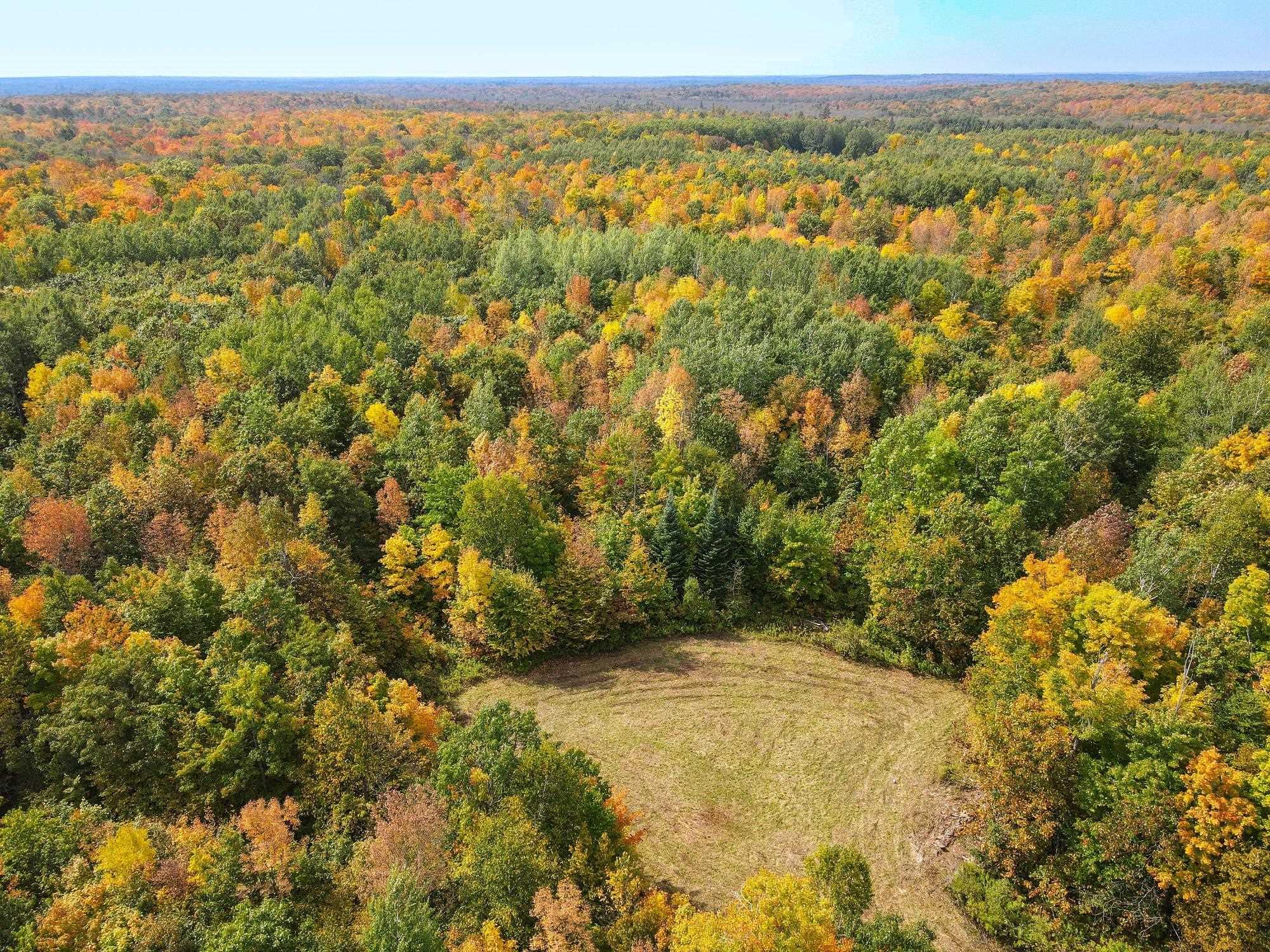 72281 Hennes Road Glidden, WI 54527 - Photo 11 of 50