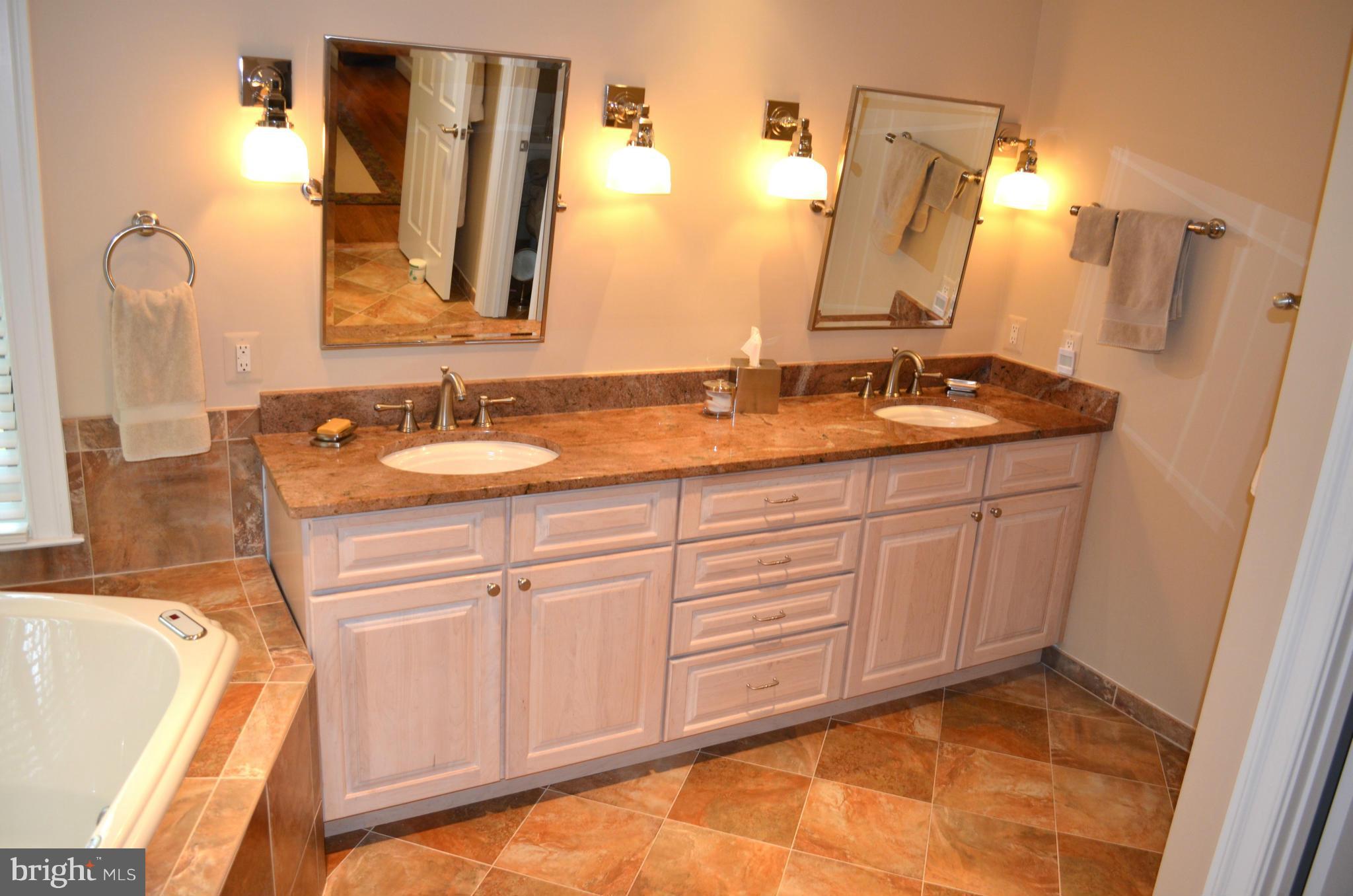 2009 Roundhouse Road Vienna, VA 22181 - Photo 13 of 30 Bath (Master)