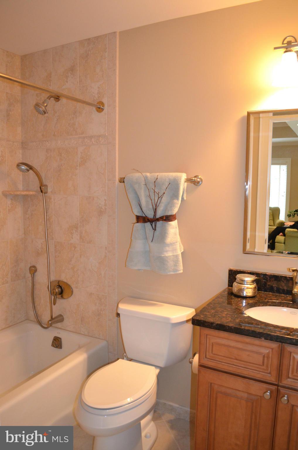 2009 Roundhouse Road Vienna, VA 22181 - Photo 21 of 30 Bath