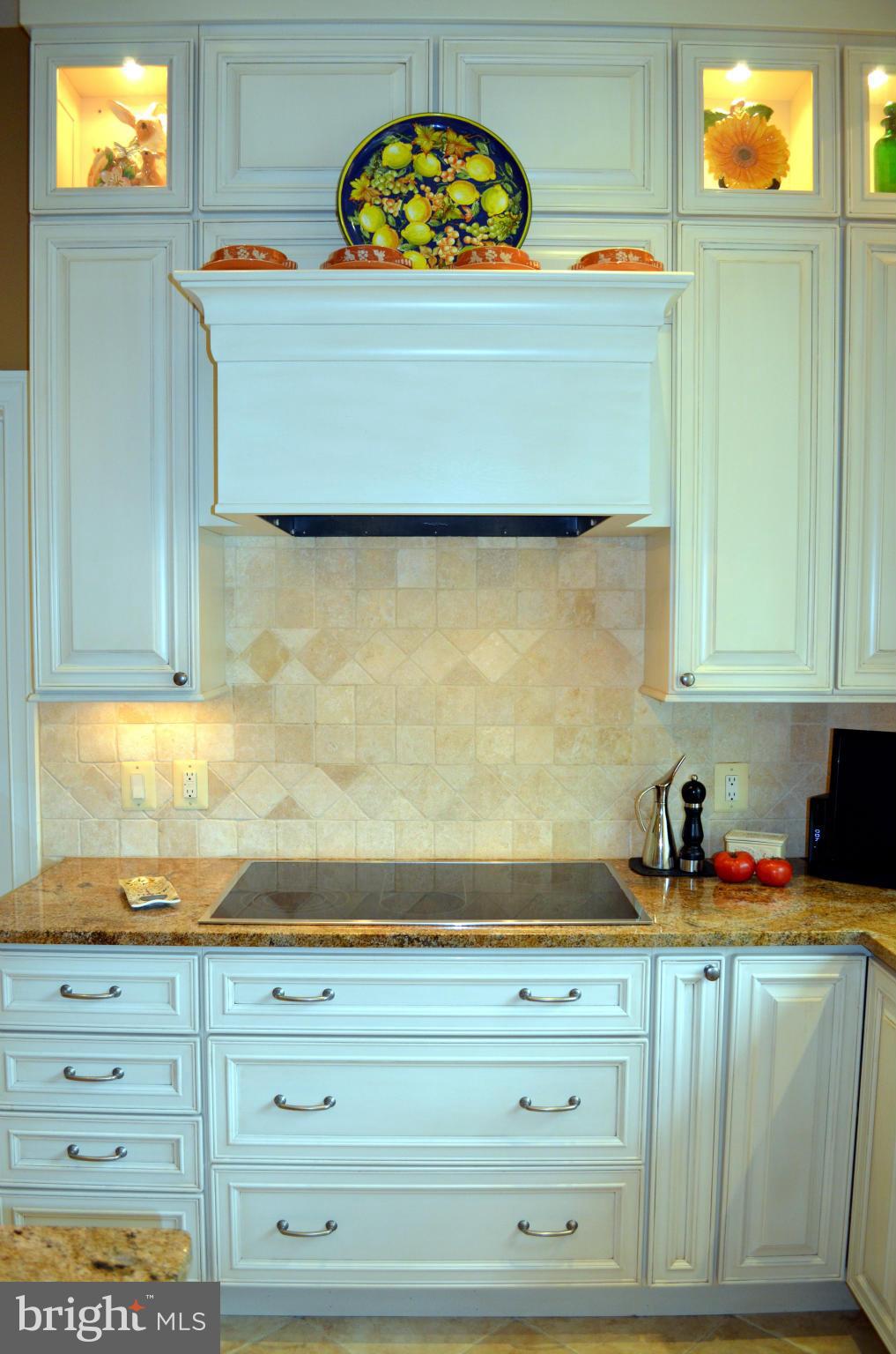 2009 Roundhouse Road Vienna, VA 22181 - Photo 5 of 30 Kitchen