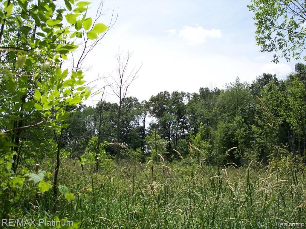7117 North Fleming Road Fowlerville, MI 48836 - Photo 19 of 97