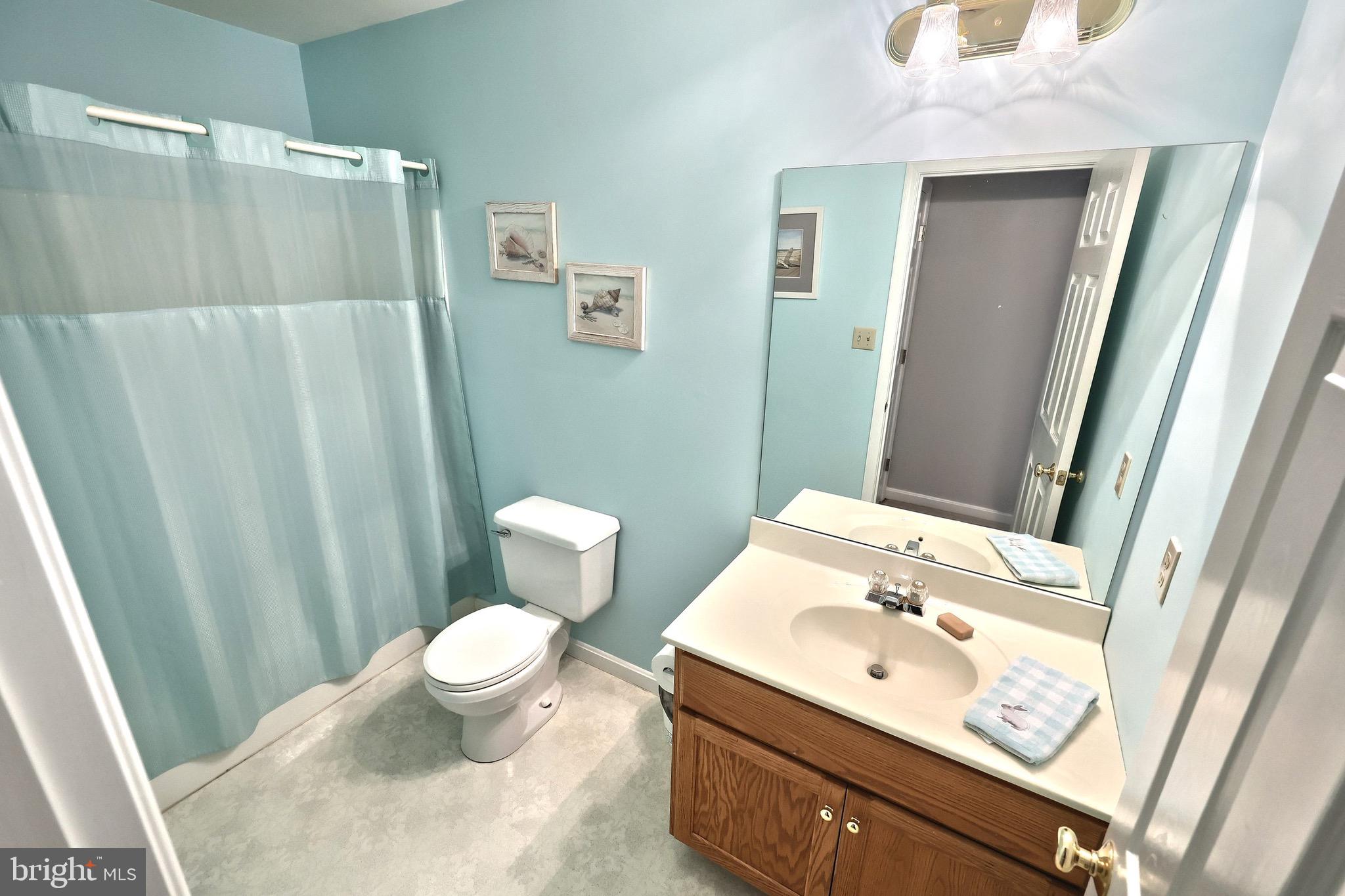 70 Test Road Hanover, PA 17331 - Photo 29 of 39 a bathroom with a sink a toilet and shower curtain